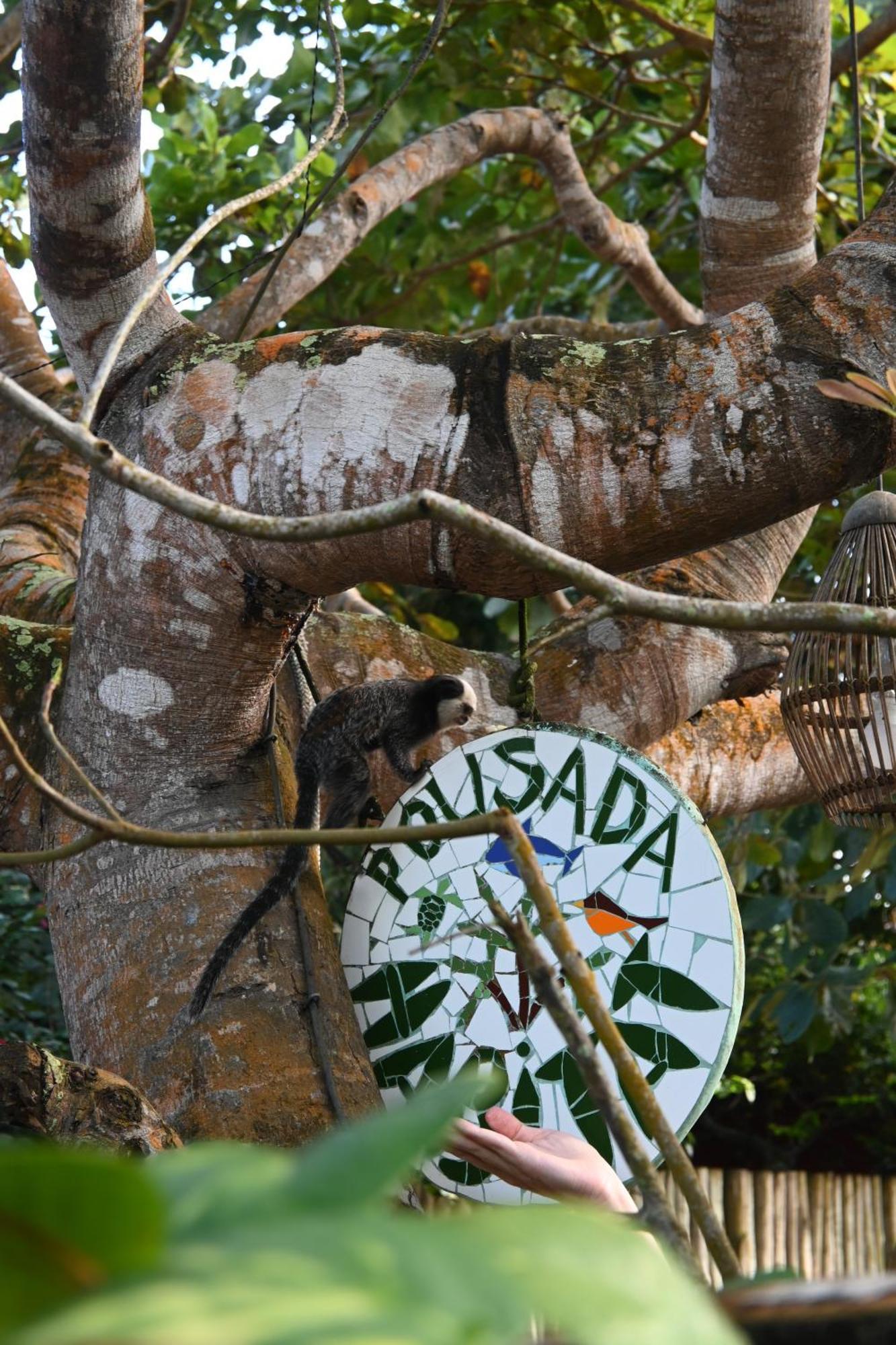 Pousada Habitat Caraiva Bagian luar foto